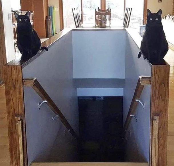 Cat womans secret lair 
