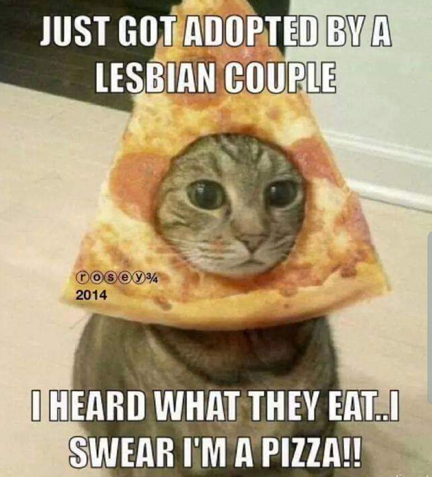 Cat worries