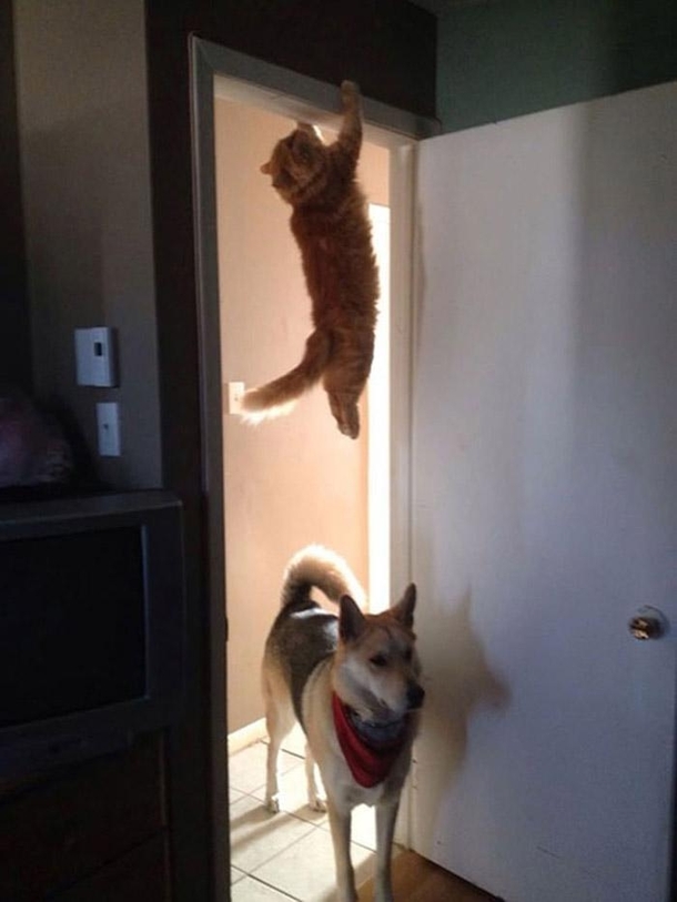 Catch me if you can
