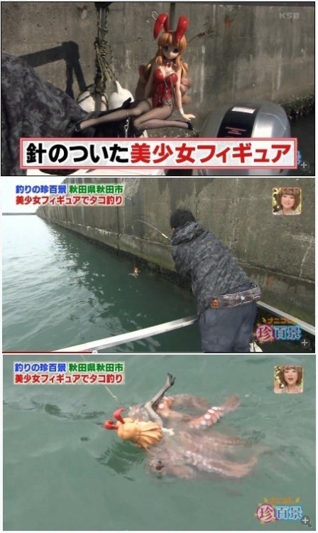 Catching an octopus in Japan