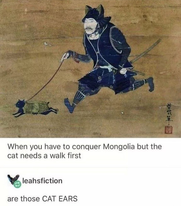 Catgt mangolia