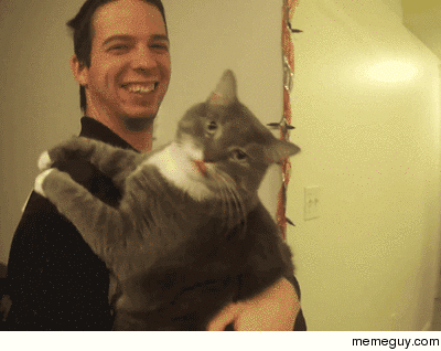 Catnip Not even once