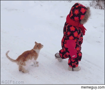 Cats are assholes