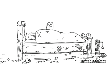 Cats are assholes