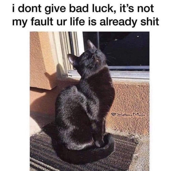 Cats are too cute to be superstitious about them