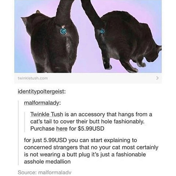 Cats be like