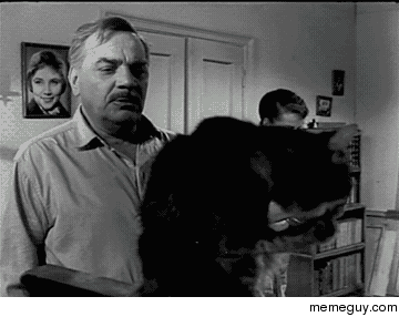 Cats before internet