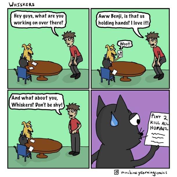 Cats can be so shy