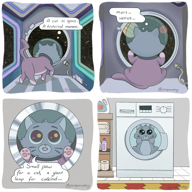 cats daily adventures
