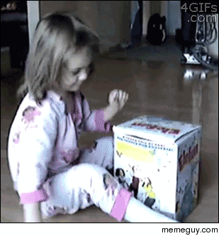 Cats in the box
