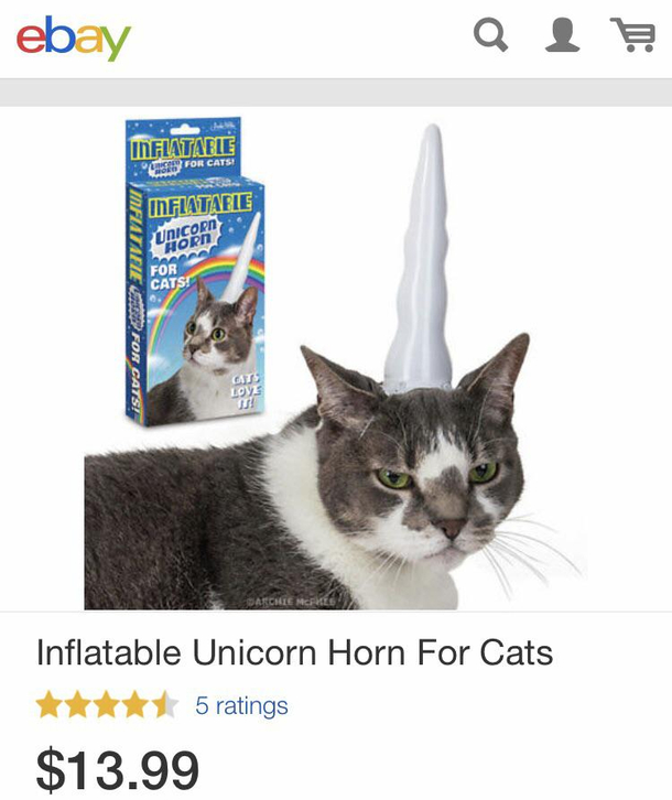 Cats like it