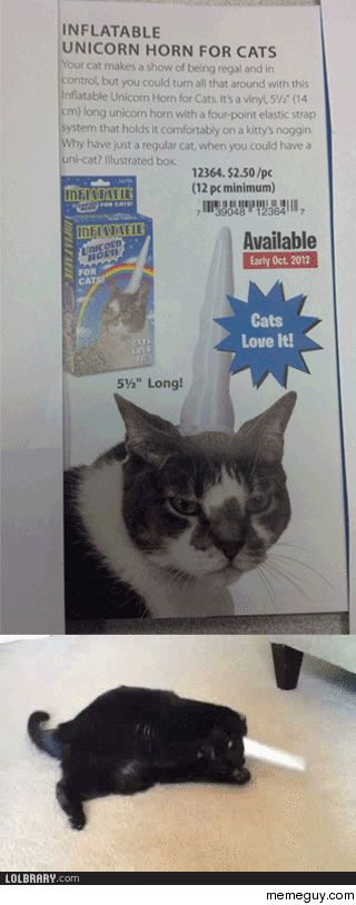 Cats love it