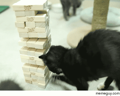 Cats playing Jenga 