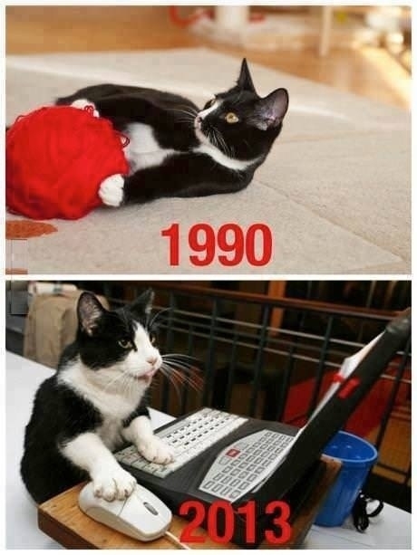 Cats then and now