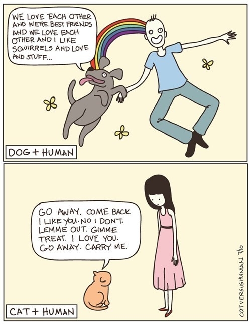 Cats vs dogs