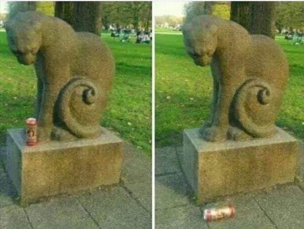 Cats will be cats