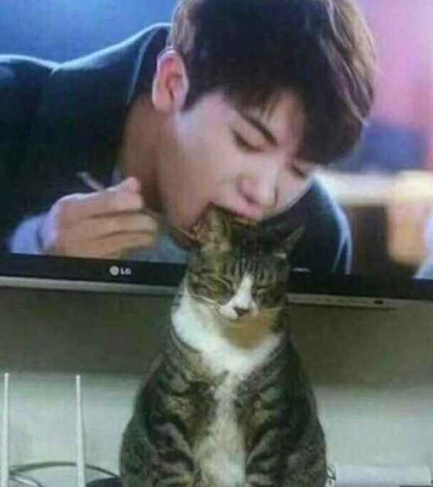 Catsu Curry