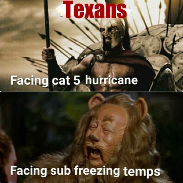 Cause Texas