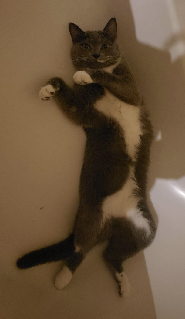 Cause this is thriller thriller night 