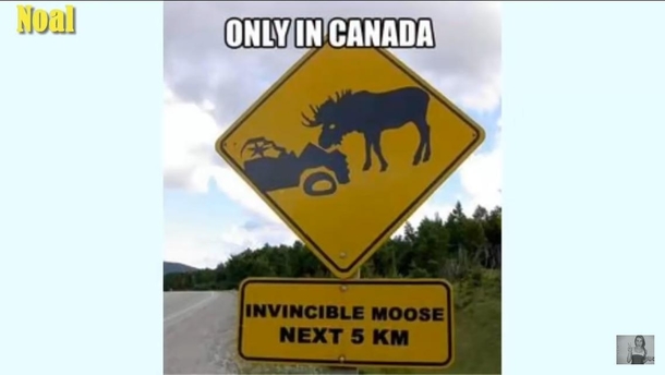 Caution Invincible Moose Ahead