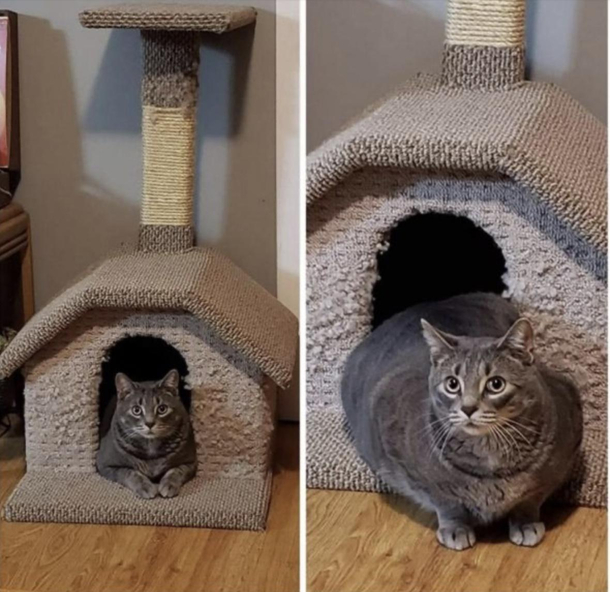 CAUTION Object in mirror may be chonkier than they appear