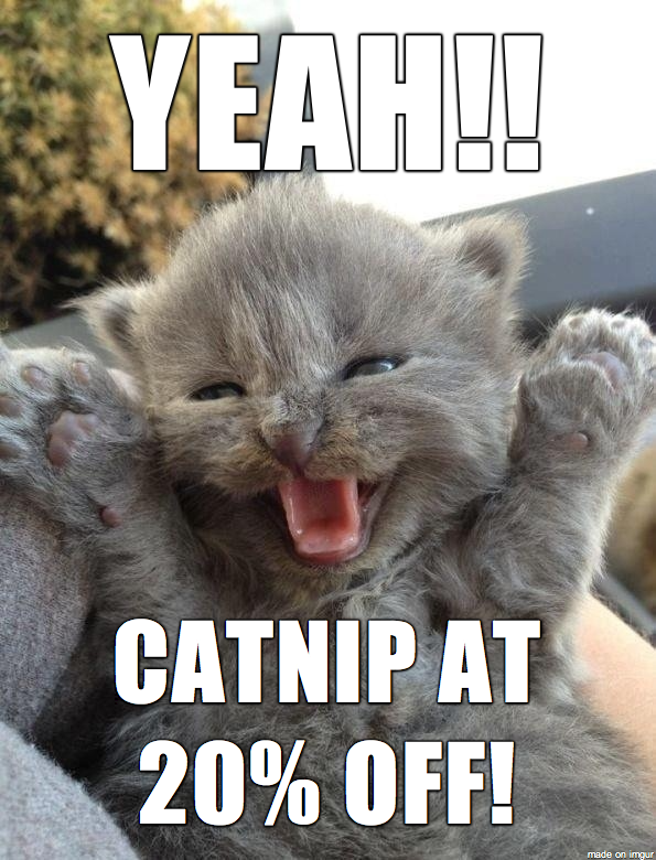 Celebration Cat Meme Guy