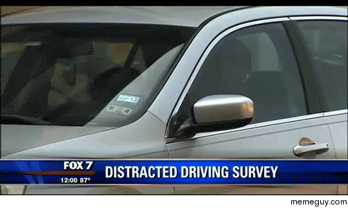 Cellphones arent the only thing distracting Austin drivers