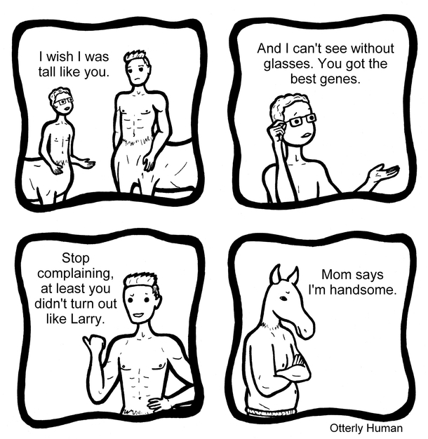 Centaurs 