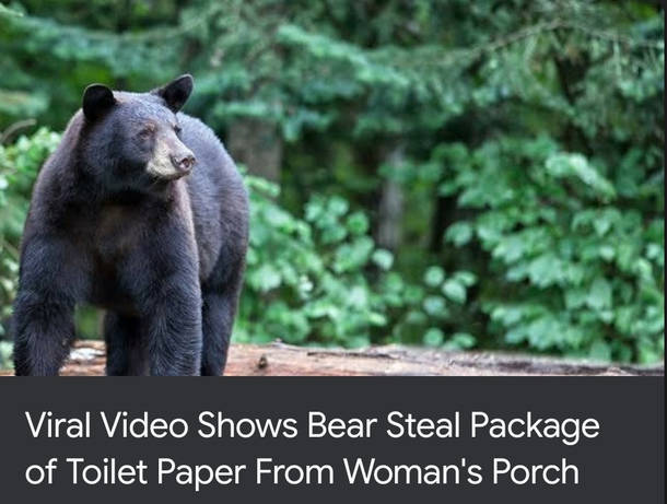 Cha Cha Cha Charmin