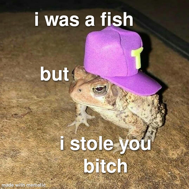 Chad frog