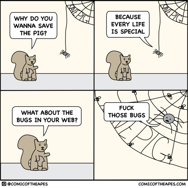 Charlottes web