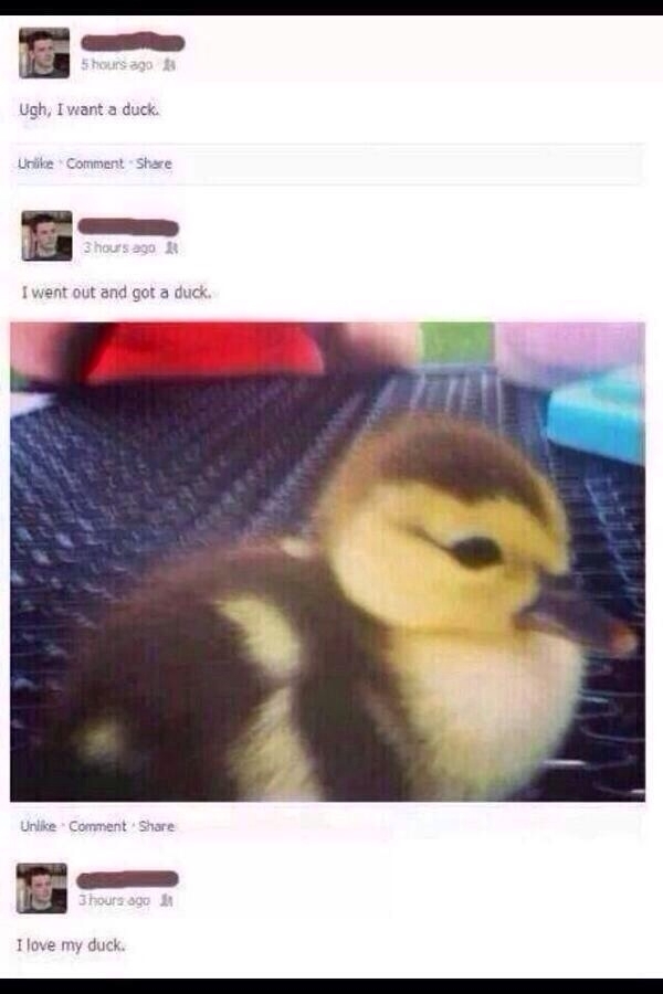 Chase your dreams