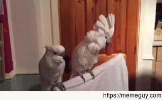Chatting with a guy at the bar when his favorite song comes in