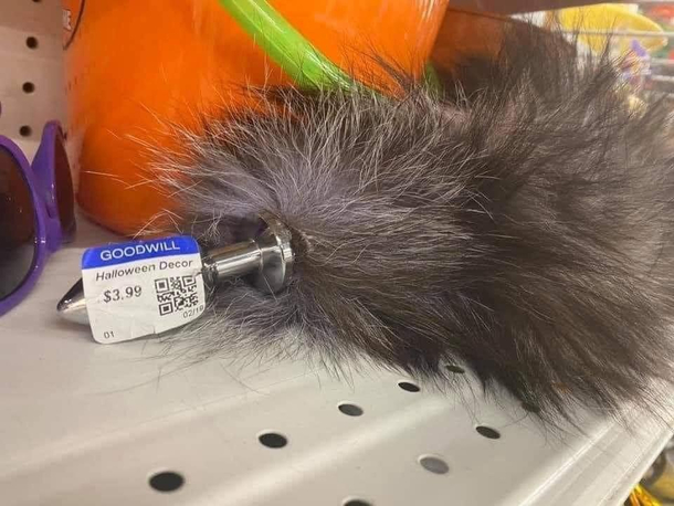 Cheap feather duster at Goodwill