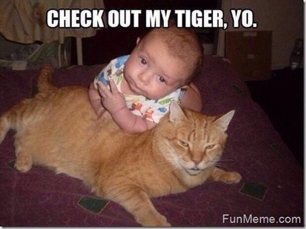 Check out my tiger yo