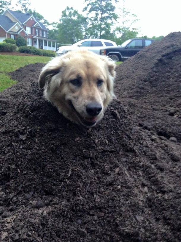 Check out the bark on this tree I planted