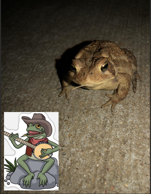 Check out this gentleman I met last night