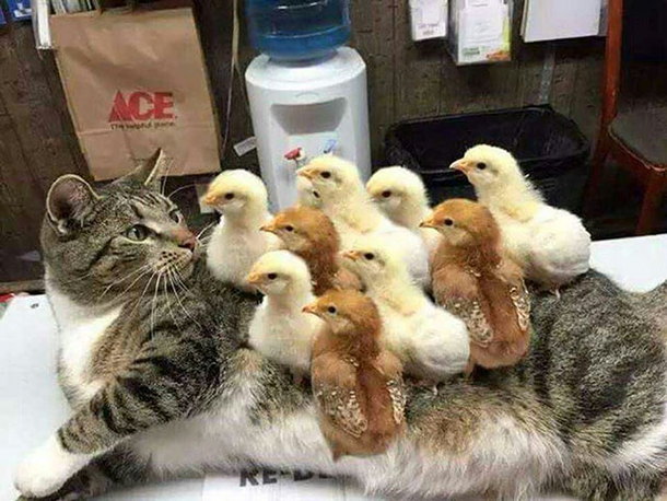 Checking out our new mom