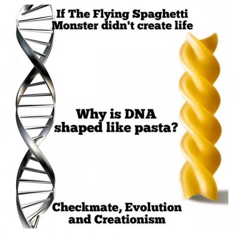 Checkmate evolution