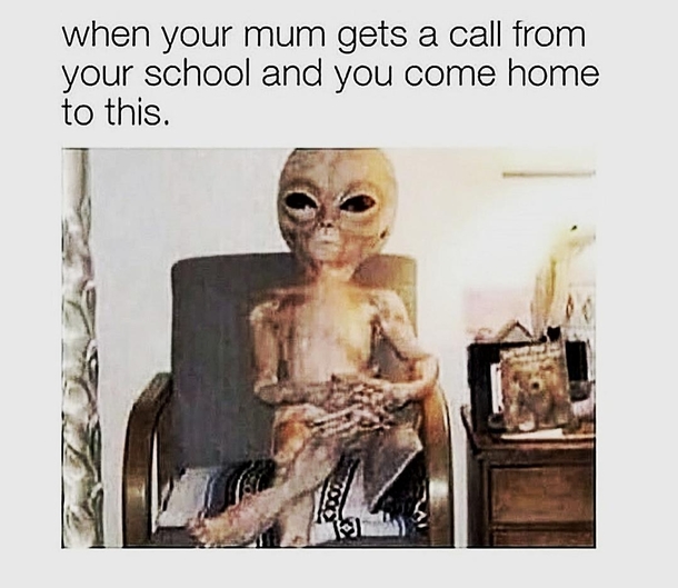 Checks out
