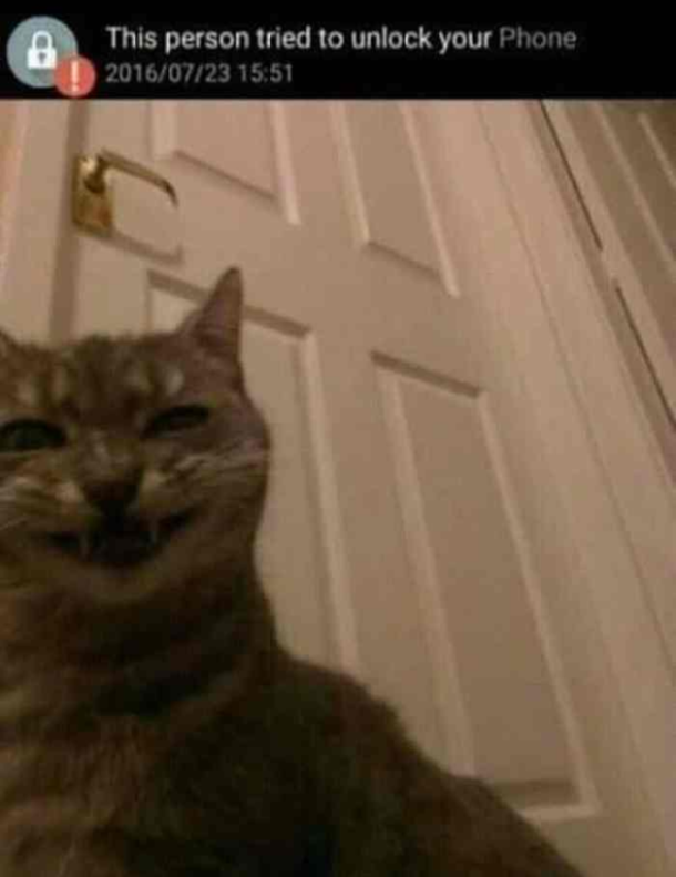 checks phone
