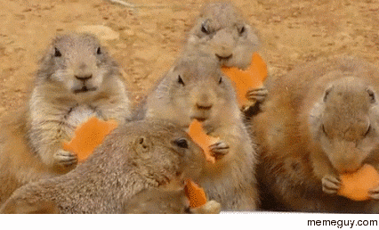 Cheese break