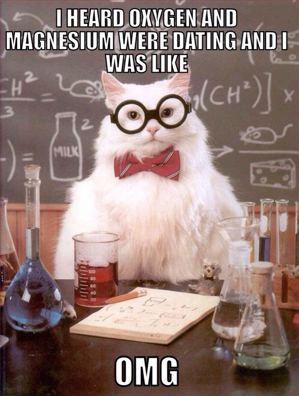 Chemistry Cat