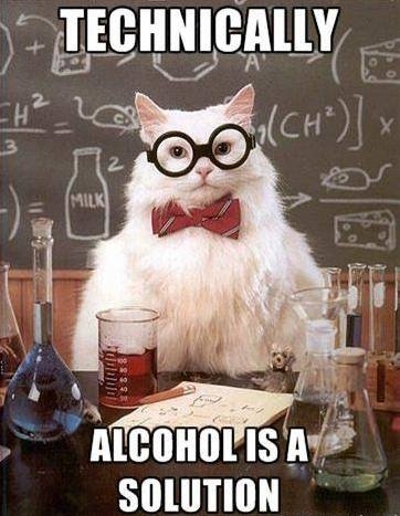 Chemistry cat tells no lies
