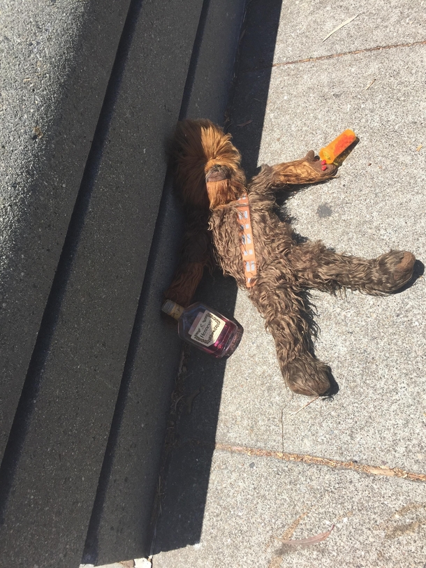 Chewbacca  years later
