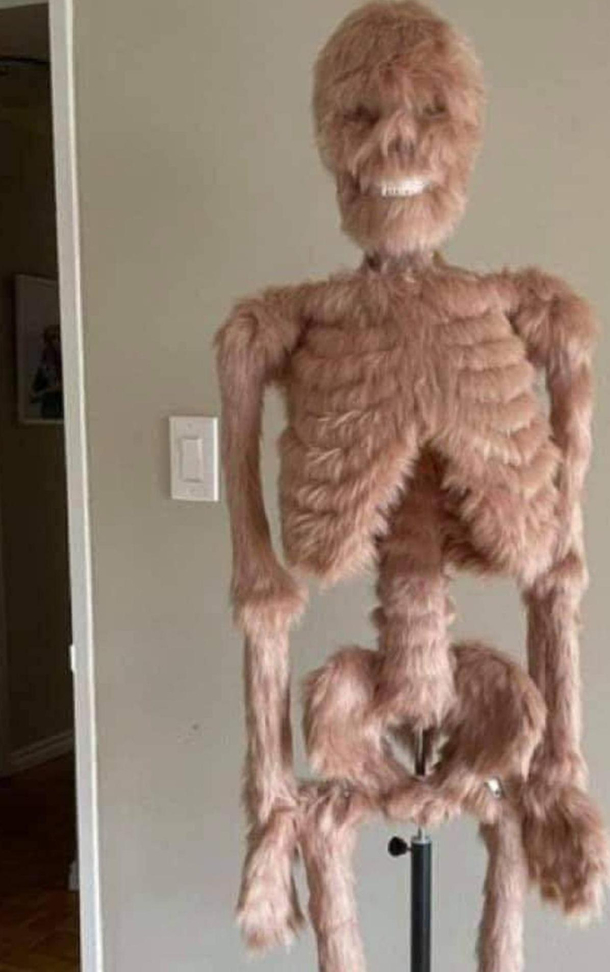 Chewbaccas skeleton
