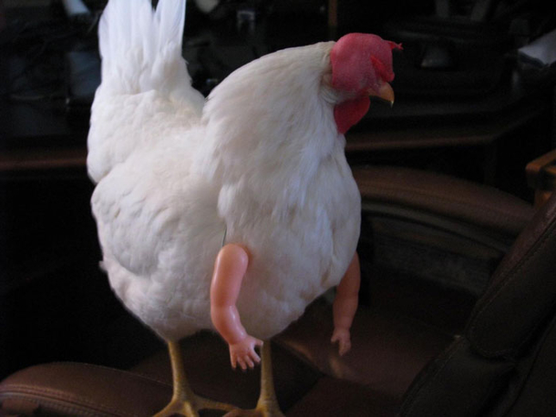 Chicken arms