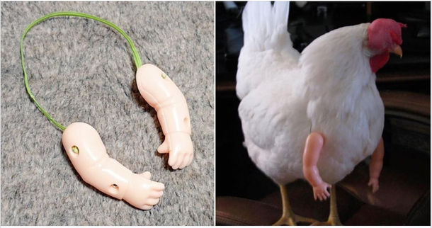 Chicken arms