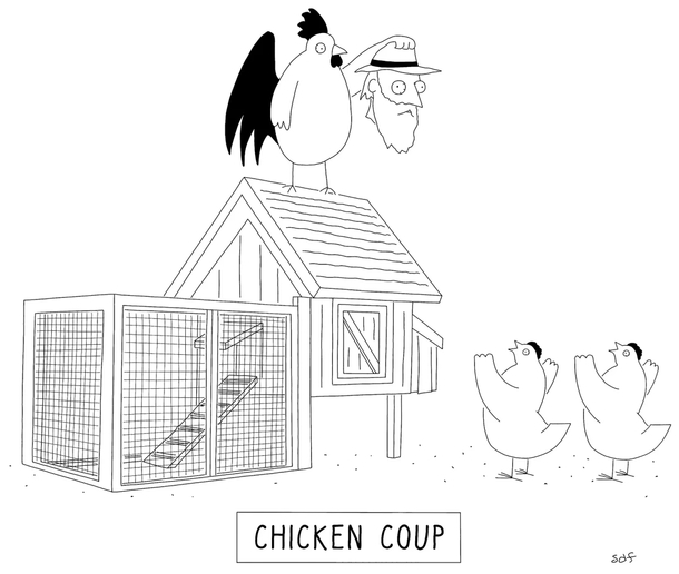 Chicken Coup