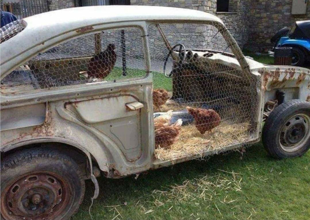 Chicken coupe